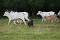 Februar 2013 061